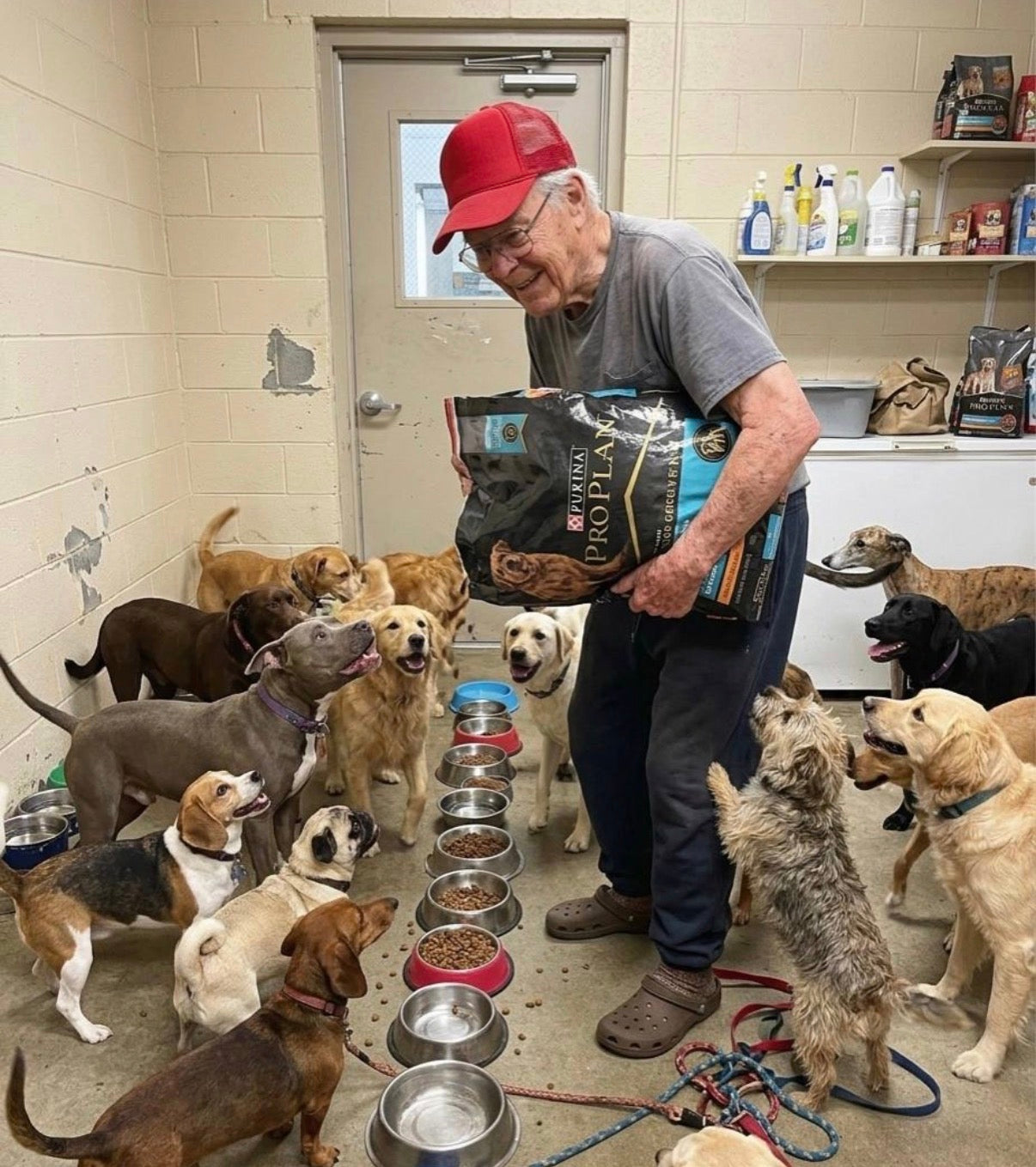 Support Our Shelter